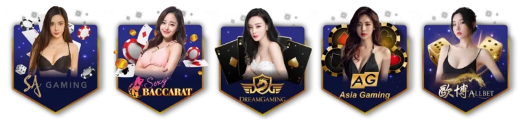 เข้าสู่ระบบ huayrich28